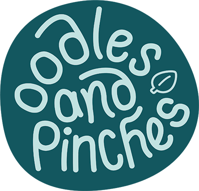 logo oodles and pinches
