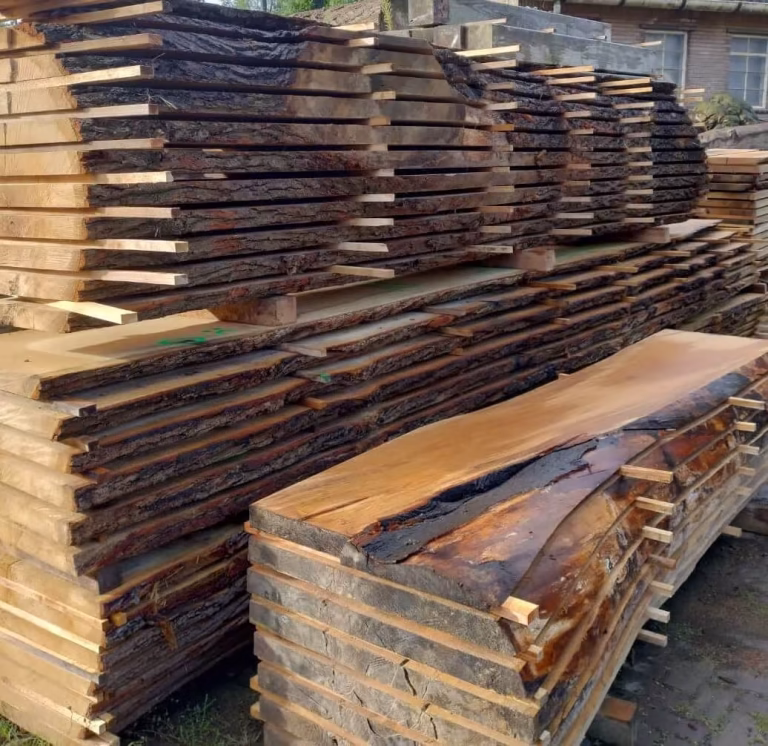 Hout van Haarlem – de Haarlemse Houtketen